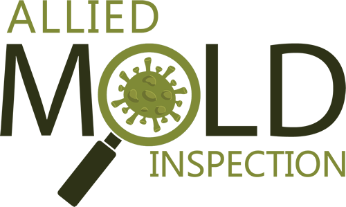 Allied Mold Inspectors